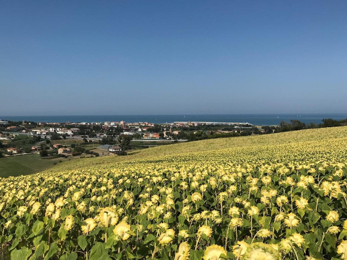 Agricampeggio Abbruzzetti Marina Palmense Luaran gambar